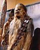 Episode 3 Chewbacca Costume