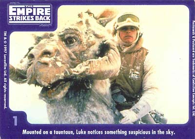 Confection Concepts Postacard 1