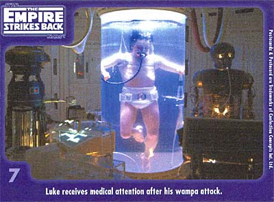 Confection Concepts Postacard 7