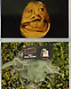 Bing Harris Sargood masks